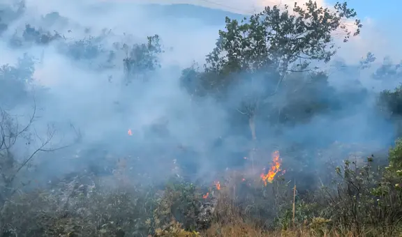 Incendio forestal cerca de Machu Picchu mantiene activa la alerta en Cusco