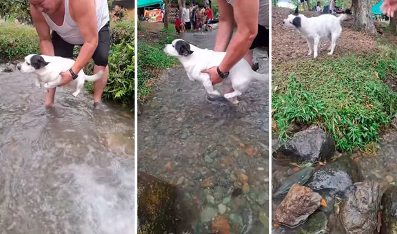 Hombre ayuda a su perrito a cruzar riachuelo sin mojarse y en redes bromean "Nadando por Bluetooth"