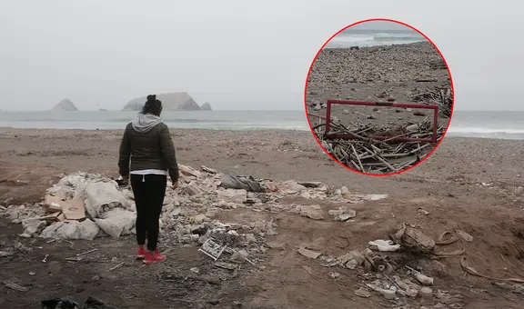 Estuario del Lurín: vidrios y desechos amenazan a aves migratorias