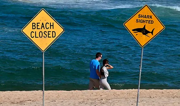 Australia: surfista muere tras ataque de tiburón y autoridades son obligadas a cerrar varias playas