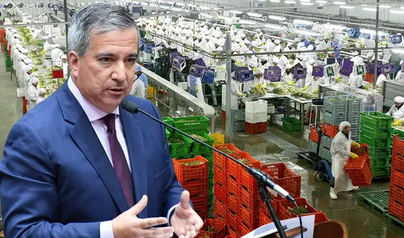 Ley Chlimper 2.0: MEF respalda beneficios tributarios a grandes empresas agroexportadoras