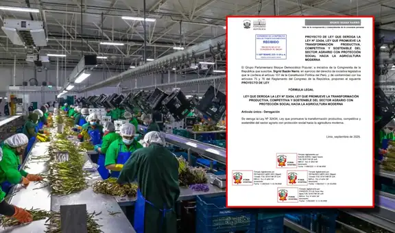 Congreso: proponen derogar ley Chlimper 2.0 que reduce impuestos a grandes agroexportadoras por 10 años