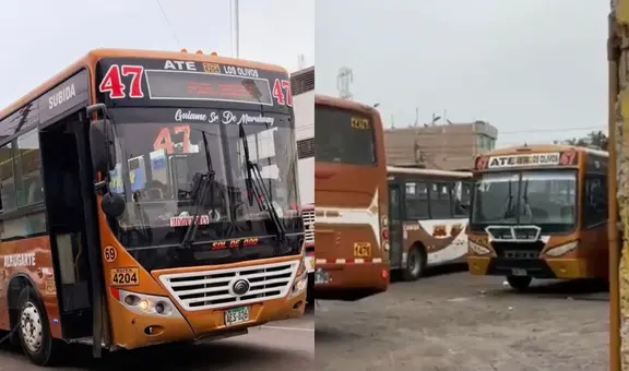 Más de 120 unidades de la empresa Sol de Oro llevan cinco días paralizadas por amenazas de extorsionadores