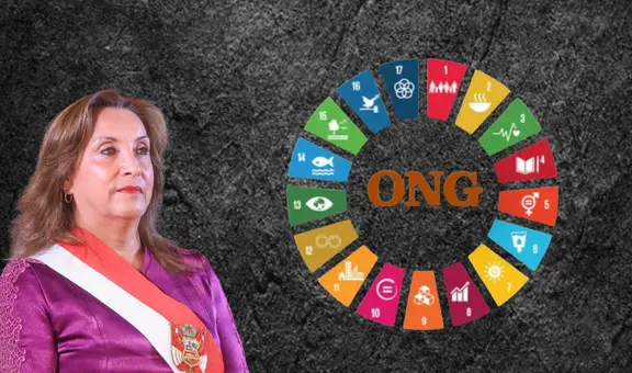 Gobierno de Dina Boluarte promulga reglamento que fortalece a la APCI y somete el financiamiento y actividades de las ONG