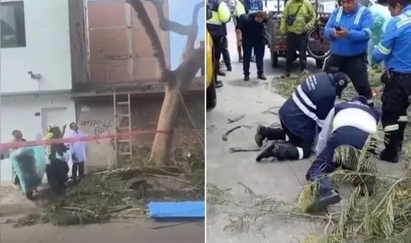 Joven jardinero pierde la vida al podar árbol cerca de cables de alta tensión en Surco