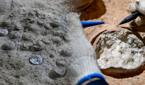 China descubre 28 huevos de dinosaurio de 86 millones de años que revelan una adaptación inédita al clima