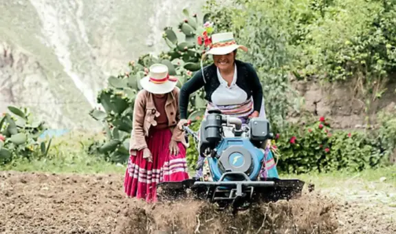 MIDAGRI aprueba subvenciones por S/546.000 a Organizaciones Agrarias de Mujeres