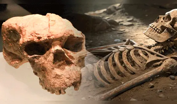 China desafía la historia de la evolución humana con el hallazgo de un cráneo de un millón de años de antigüedad