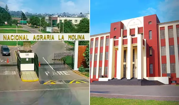 Esta universidad pública dejó atrás a la UNI, a la Agraria y se posiciona como la mejor del Perú, según el ránking Sunedu 2025