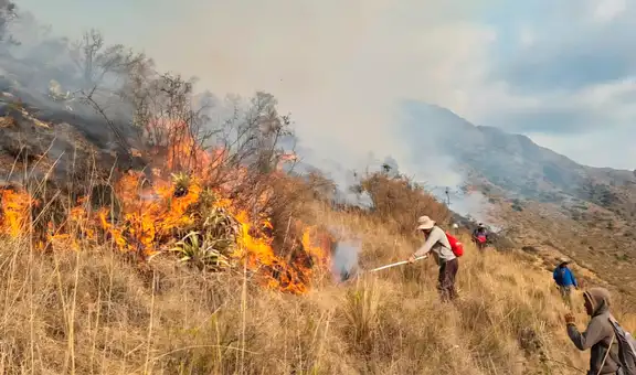 Dos incendios forestales de grandes proporciones siguen activos en Cusco