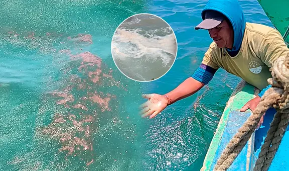 Pescadores de Cabo Blanco denuncian dos fugas de crudo en plataforma administrada por PetroPerú