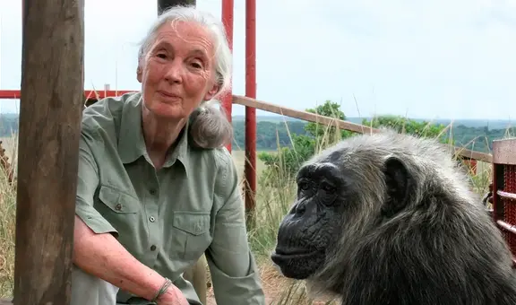 Muere Jane Goodall, la reconocida investigadora de la vida salvaje y defensora de los derechos animales, a los 91 años
