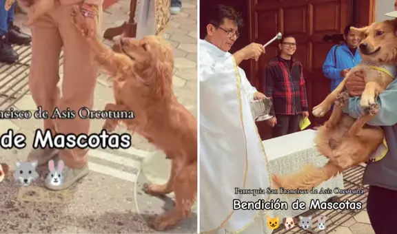 Perrito se resiste a ser rociado con agua bendita en ceremonia masiva de mascotas y redes estallan: "No quiero, mamá"