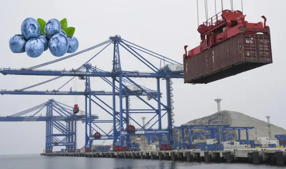 Estos son los productos peruanos que llegan a China a través del Megapuerto de Chancay en solo 23 días: costos de exportaciones se han reducido
