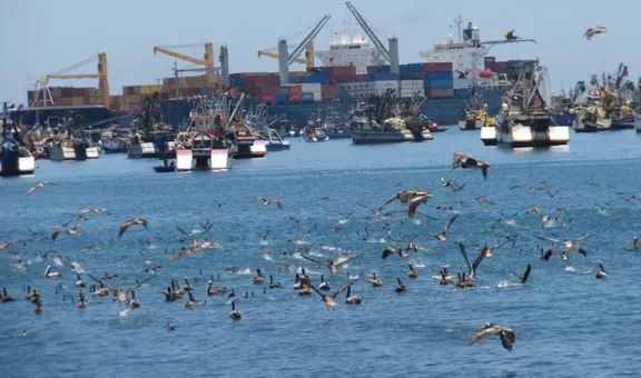 Gobierno invertirá S/752 millones en modernización del puerto de Ilo