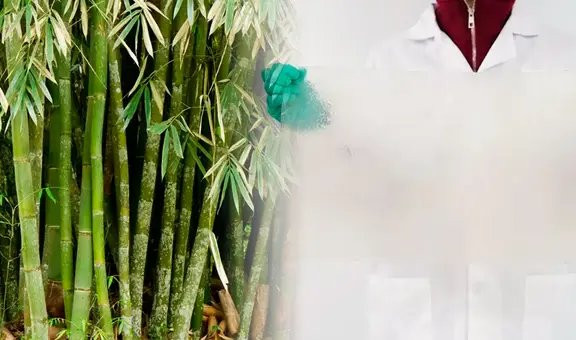 China quiere despedirse del plástico tradicional con una alternativa biodegradable y ultra resistente