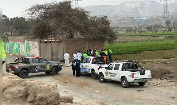 Asesinan a 3 hombres tras ser llevados a descampado de Chuquitanta en San Martín de Porres: vecinos oyeron disparos