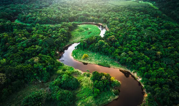 El país con más biodiversidad del mundo está en América Latina: descubre 700 especies nuevas al año