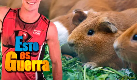 Exchico reality abandonó la TV para vender cuyes y asegura que ganará más dinero que en ‘Esto es Guerra’