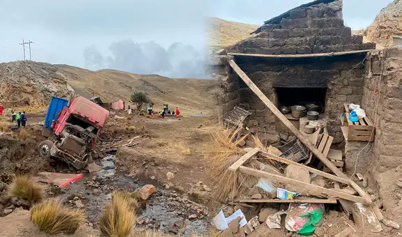Puno: poblador y sus alpacas mueren atropellados dentro de su cabaña tras despiste de tráiler