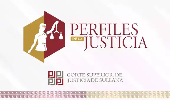 Política criminal, seguridad ciudadana y flagrancia delictiva