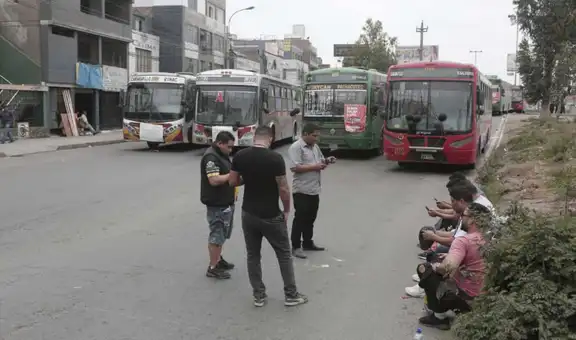 Gremios analizan la posibilidad de un paro tras seguida de ataques a transportistas pese a medidas del Ejecutivo