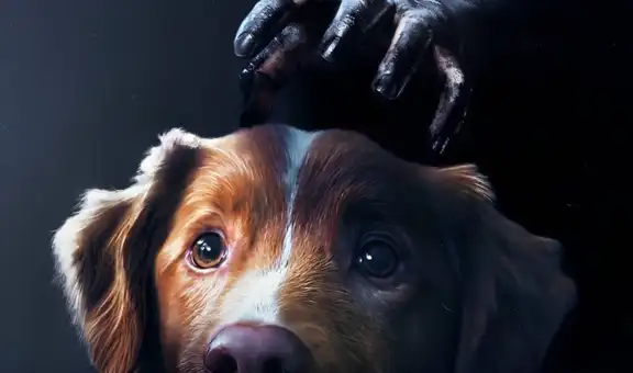Estreno de 'Good Boy' en Perú hoy: ¿dónde ver en español latino la película de terror protagonizada por un perro?