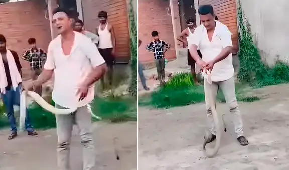 Famoso domador de cobras de India muere tras fatal mordedura durante demostración ante decenas de personas