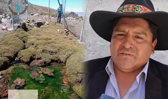 Arequipa: piden declarar emergencia sanitaria tras brote de hepatitis A en distrito de Tauría