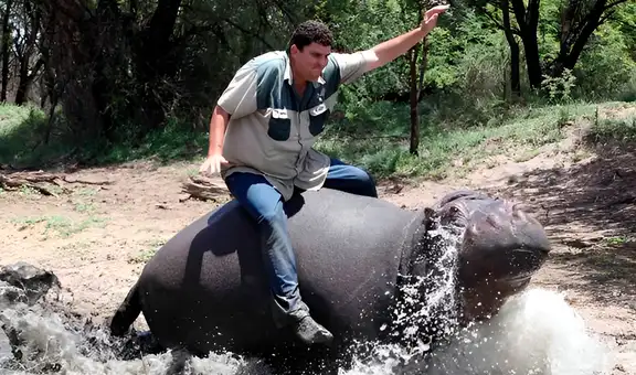 El triste final del granjero que crió a un hipopótamo como a su hijo, pero este lo atacó ferozmente hasta matarlo