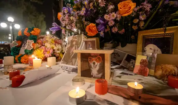Día de las mascotas fallecidas en Perú: ¿qué significa y cómo se vive esta emotiva fecha cada 27 de octubre?