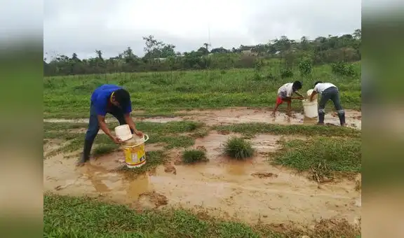 Yurúa, la comunidad indígena que defiende el bosque de las garras del narcotráfico