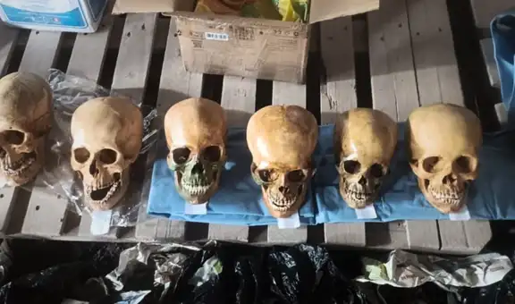 Hombre intentó recoger encomienda con ocho cráneos humanos y fue detenido en Cusco: fiscalía investiga tráfico de bienes culturales