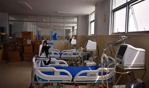 Ralstonia picketti, la bacteria oportunista que alarmó las salas de hospitales por brotes: Minsa reporta 28 casos en Perú