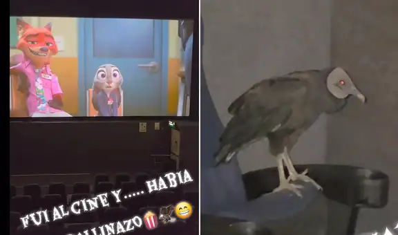 Peruano se sorprende al hallar un gallinazo dentro del cine y redes estallan: "¿Pagó entrada?"