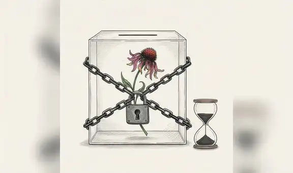 8 meses de paralización en el JNE, … sí importa, por Marianella Ledesma