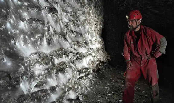 Científicos descubren la telaraña más grande del mundo donde prosperan más de 111.000 arañas en una cueva completamente oscura