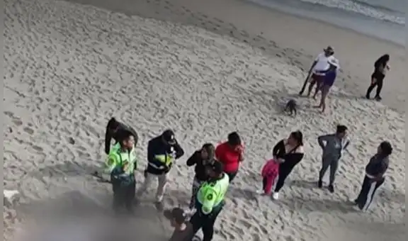 Feminicidio en VES: joven mujer es hallada sin vida en playa tras llevar días desaparecida