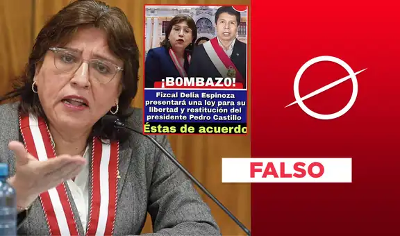 Delia Espinoza no presentó un proyecto ley al Congreso para liberar a Pedro Castillo