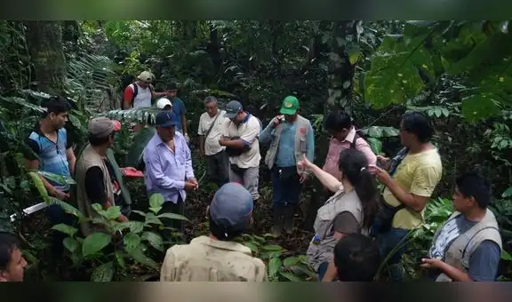 Más de 1 millón de hectáreas de bosque evitaron ser deforestadas gracias a certificación