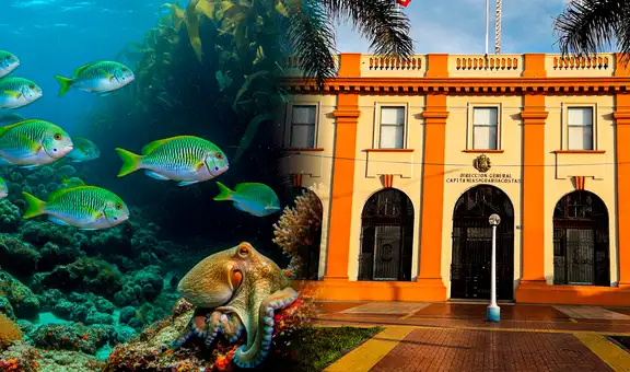 Congreso reaviva el REINFO Pesquero pese al rechazo unánime: qué plantea el proyecto y por qué genera preocupación