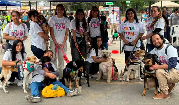 Adoptatón 2025: el festival que busca dar un nuevo comienzo a más de 100 animales rescatados