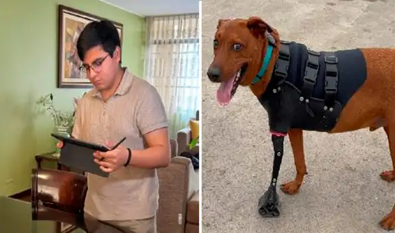 Joven ingeniero y talento de Beca 18 crea prótesis 3D para animales en situación vulnerable en el Perú