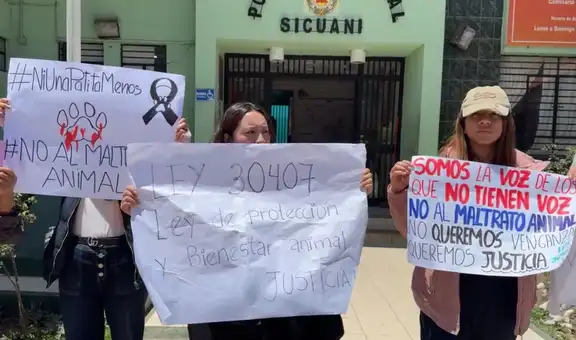 Cusco: piden sanción para hombre que fue grabado golpeando a perrita que murió