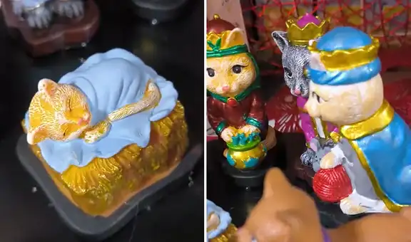 Joven queda en shock al encontrar nacimiento 'gatuno' de Navidad y redes estallan: “Para los cat-ólicos”
