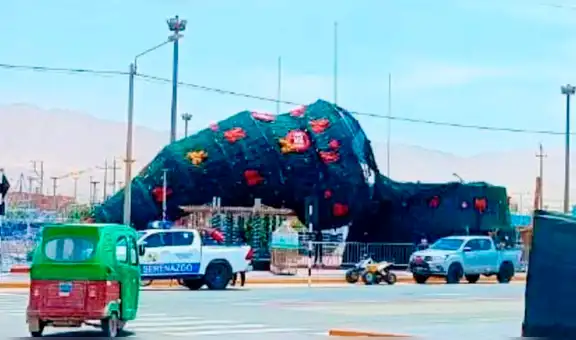 Moquegua: fuertes vientos derriban árbol navideño más alto de la región en Ilo