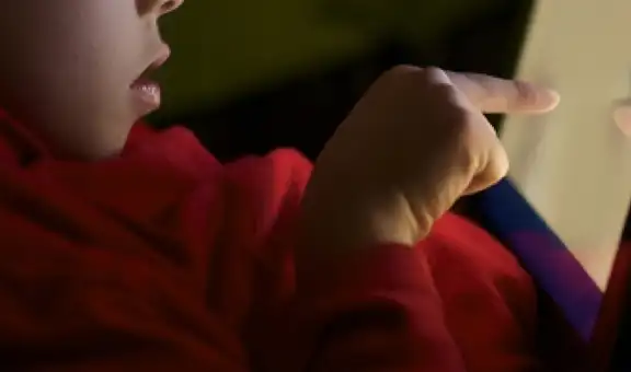 Jueza de la Unidad de Flagrancia condena a sujeto por ciberdelito contra un menor de edad