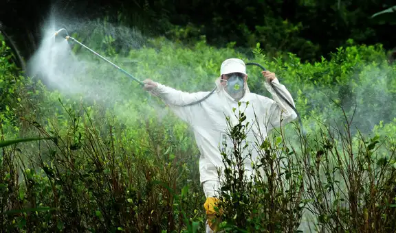 Se cae el estudio que defendía a herbicida señalado como cancerígeno: Perú sigue usando pesticidas tóxicos