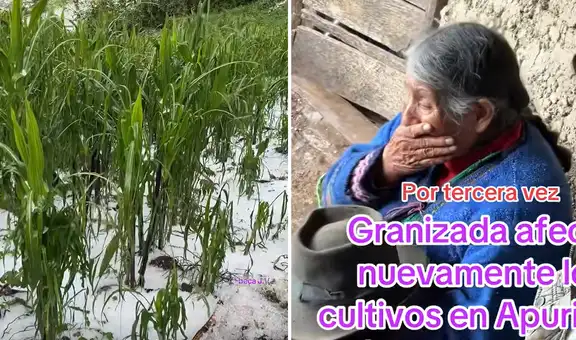Adulta mayor rompe en llanto al ver cómo la granizada destruye su cultivo de maíz: "Así es la vida del agricultor"