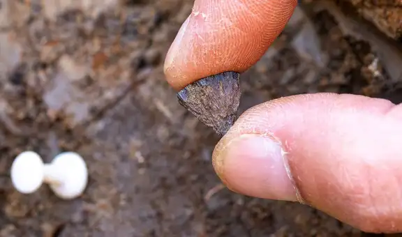 Dos piedras pequeñas descubiertas en Inglaterra podrían cambiar la historia de la humanidad